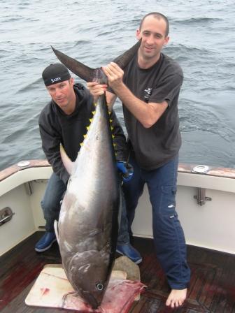 Bluefin Tuna Fishing Charter on Tuna Hunter - Team Salty